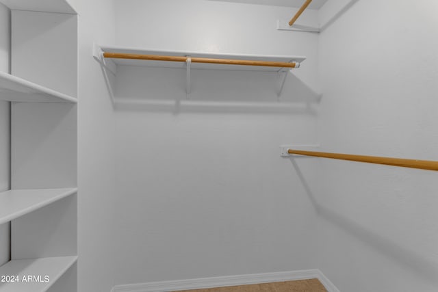 view of walk in closet