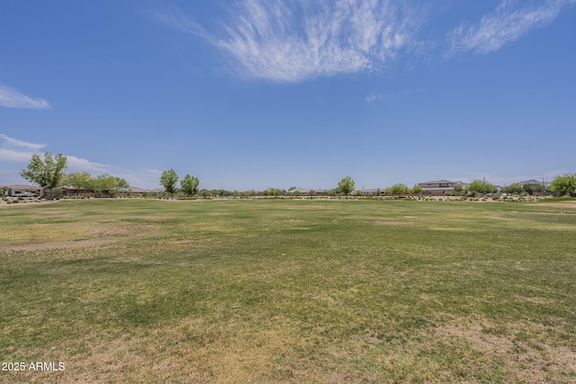 22463 E Desert Spoon Dr, Queen Creek, AZ 85142 - view of grassy yard
