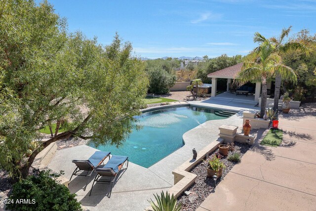 view of swimming pool with a patio