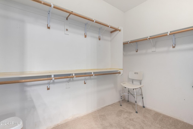 spacious closet with light colored carpet