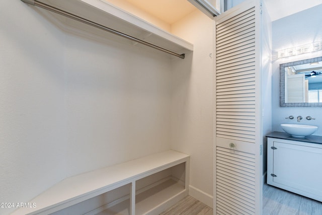 closet with sink