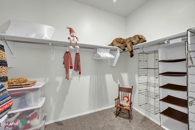 4714 W Nutmeg Ave, Coolidge, AZ 85128 - spacious closet with carpet floors