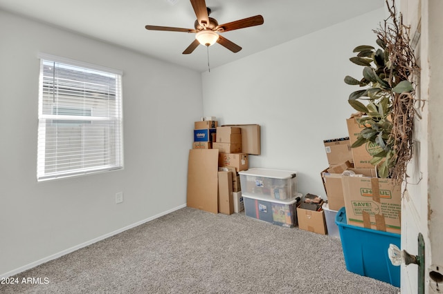 4714 W Nutmeg Ave, Coolidge, AZ 85128 - storage with a ceiling fan