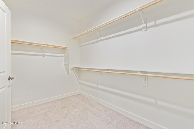 spacious closet featuring light colored carpet