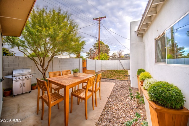 view of patio / terrace with outdoor dining area, area for grilling, and a fenced backyard