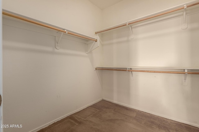 spacious closet with carpet