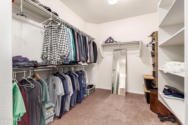 spacious closet with carpet