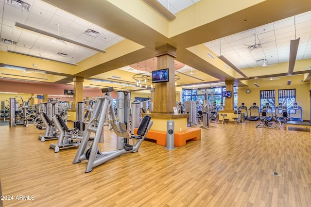 gym featuring a drop ceiling and light hardwood / wood-style flooring