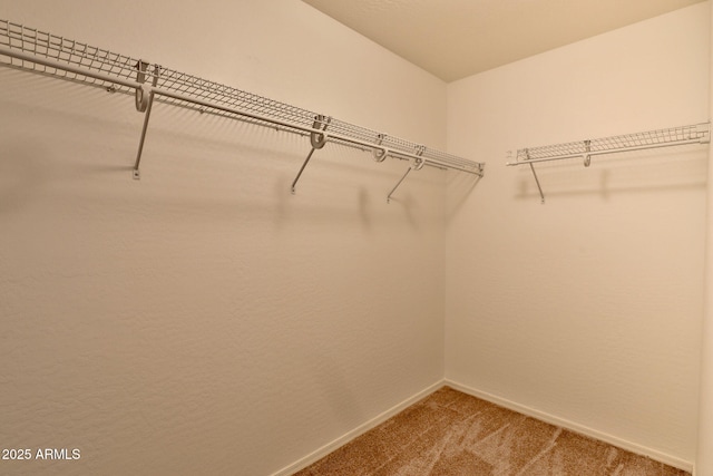 19002 N Toledo Ave, Maricopa, AZ 85138 - spacious closet with light colored carpet