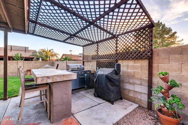 view of patio / terrace with an outdoor kitchen and a grill