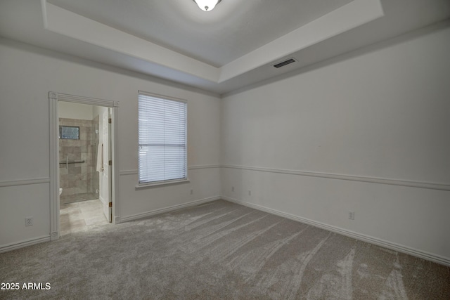 unfurnished room with light colored carpet and a raised ceiling