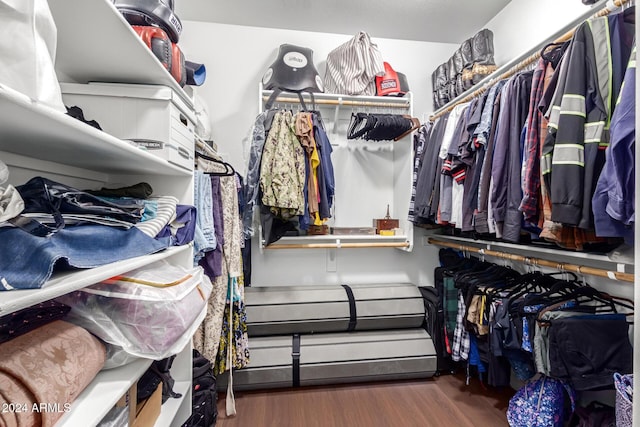 spacious closet with dark wood-type flooring