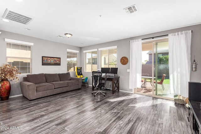 office space featuring hardwood / wood-style floors and plenty of natural light