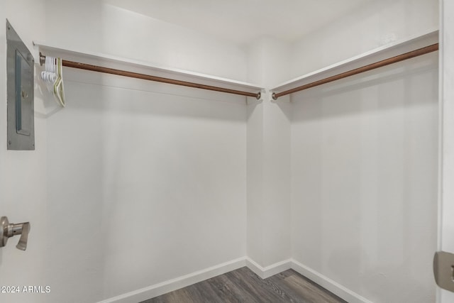 spacious closet with dark hardwood / wood-style flooring