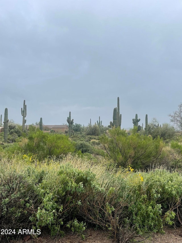 6711 E Quail Hideaway Ln Unit 55, Gold Canyon AZ, 85119 land for sale