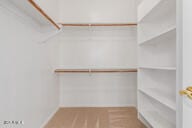 16813 S 30th Ave, Phoenix, AZ 85045 - view of walk in closet