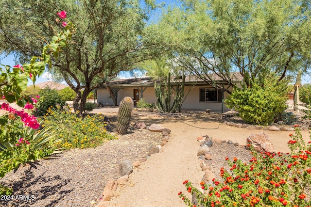 view of ranch-style home