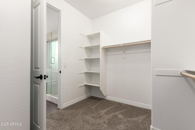walk in closet featuring dark carpet