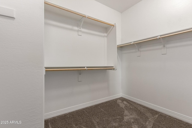 spacious closet with carpet flooring