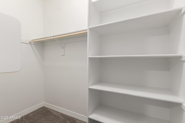 walk in closet featuring carpet flooring