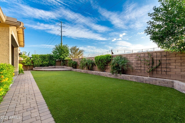 view of yard with a fenced backyard