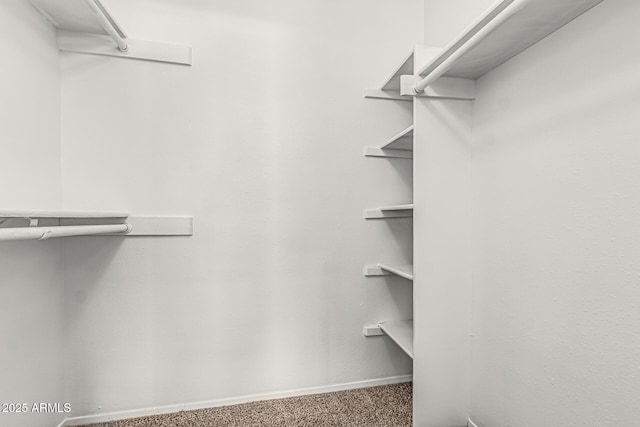 walk in closet featuring carpet flooring