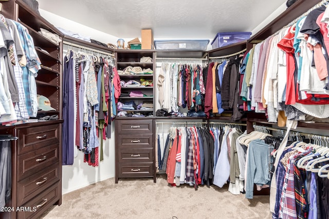 walk in closet with light colored carpet