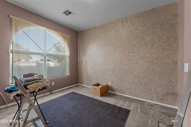 unfurnished room featuring carpet floors