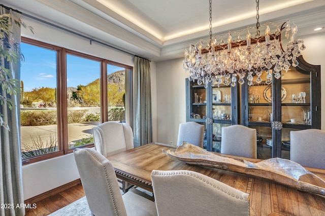 dining room featuring a tray ceiling, baseboards, and wood finished floors