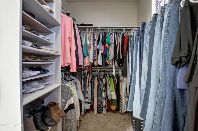 1527 Bainbridge Ln, Chino Valley, AZ 86323 - walk in closet featuring carpet flooring