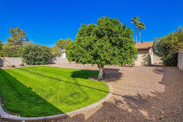 view of yard with a fenced backyard