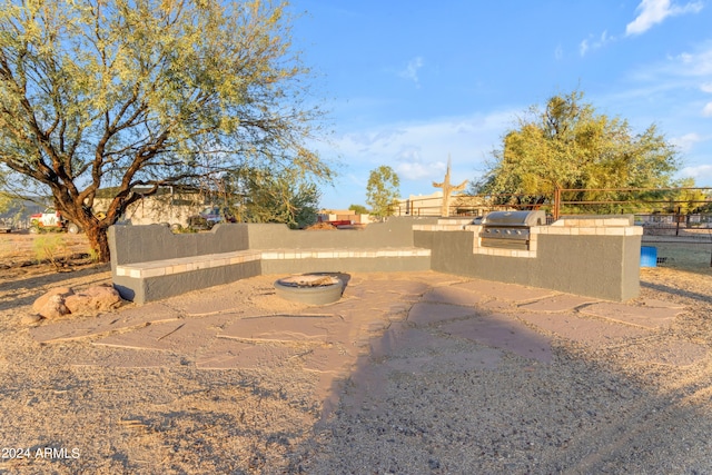 view of yard with an outdoor kitchen