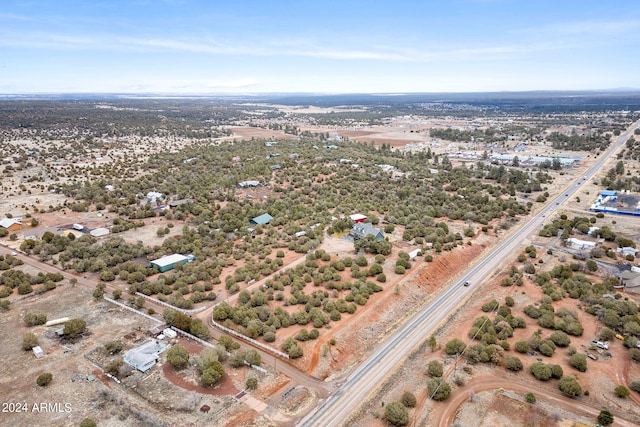 view of bird's eye view