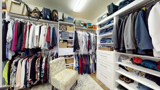 view of spacious closet