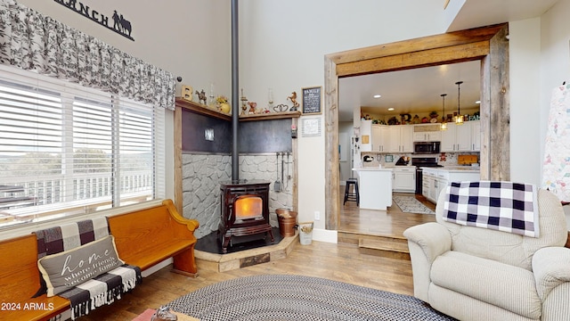 living room featuring a wood stove and light wood-type flooring