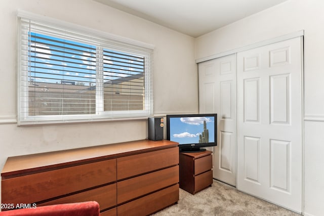 interior space with light colored carpet and plenty of natural light