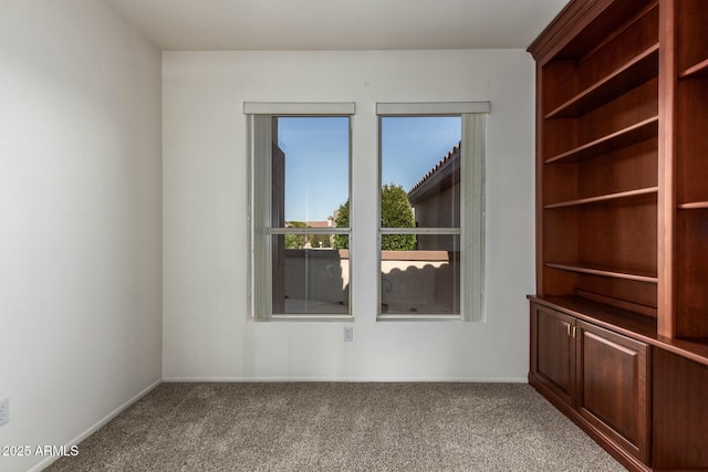 spare room featuring carpet floors