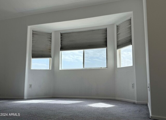 unfurnished room with carpet