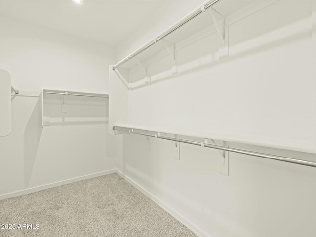 spacious closet with carpet