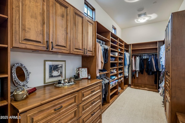 27256 N 97th Pl, Scottsdale, AZ 85262 - view of spacious closet