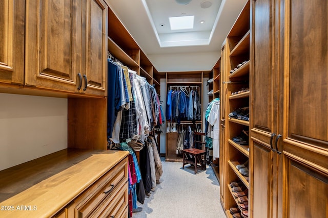 27256 N 97th Pl, Scottsdale, AZ 85262 - walk in closet featuring light carpet