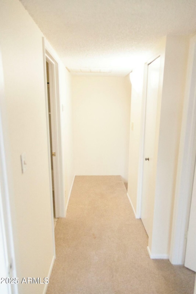 hallway with light carpet