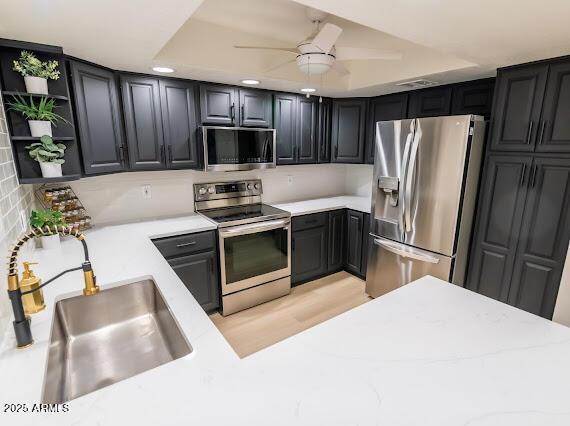 kitchen with sink, ceiling fan, a tray ceiling, stainless steel appliances, and light hardwood / wood-style floors