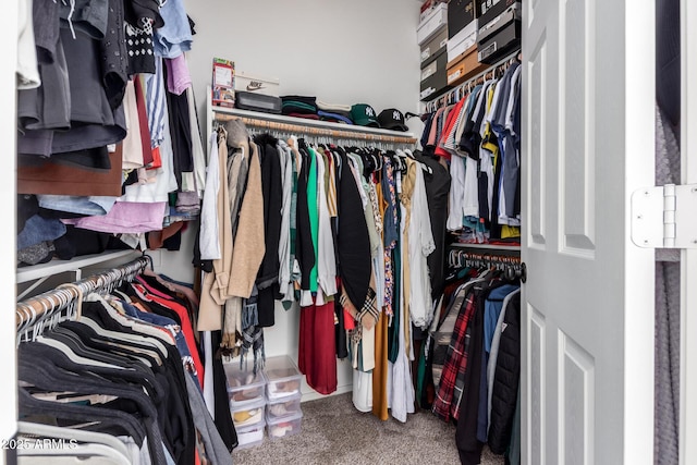 spacious closet featuring carpet