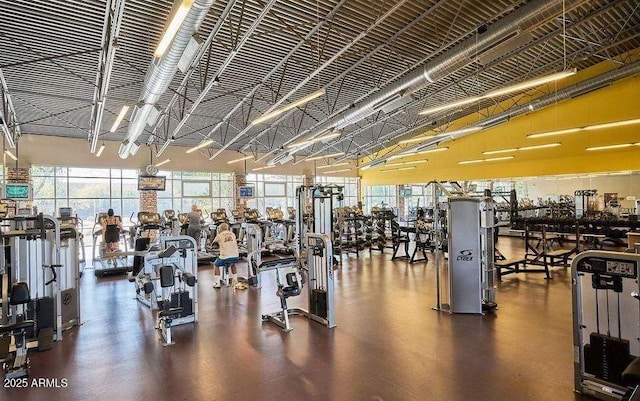 workout area with a healthy amount of sunlight