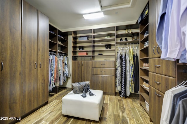 walk in closet with light hardwood / wood-style floors