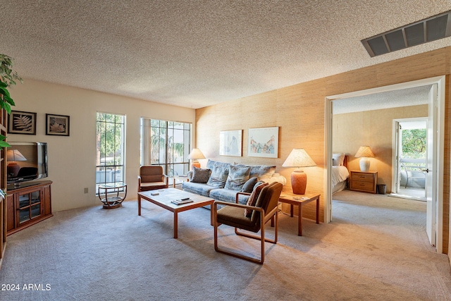 living room featuring light colored carpet, a healthy amount of sunlight, and a textured ceiling