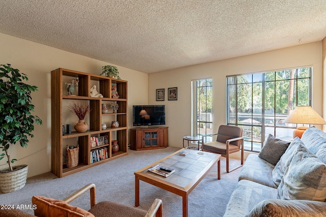 carpeted living room featuring a textured ceiling