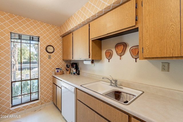 kitchen with sink and white dishwasher