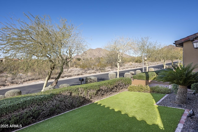 view of yard featuring a mountain view